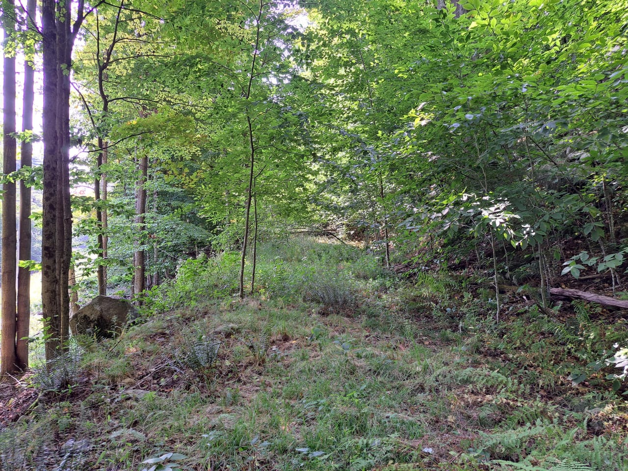 Listing Image 17