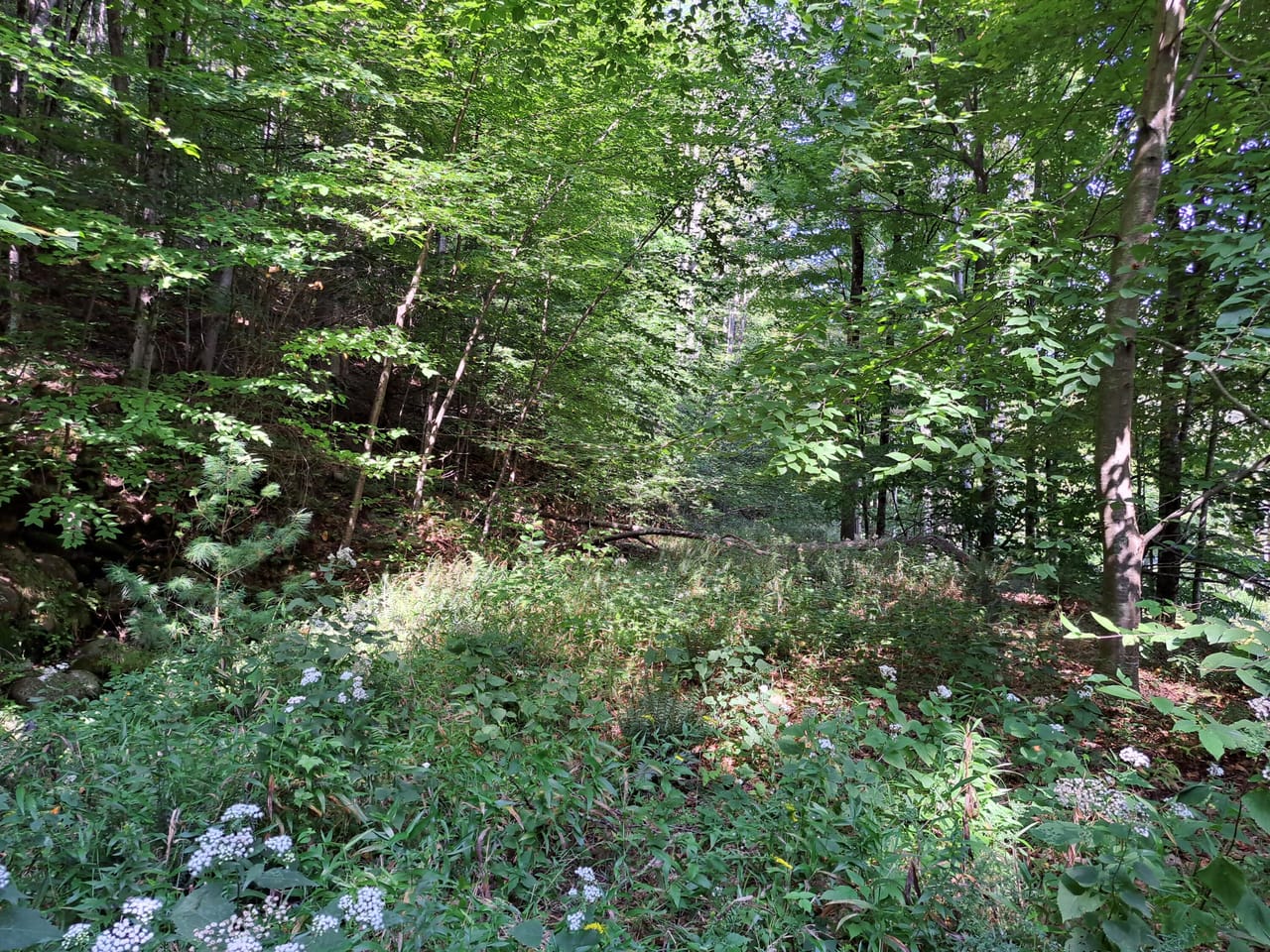 Listing Image 18