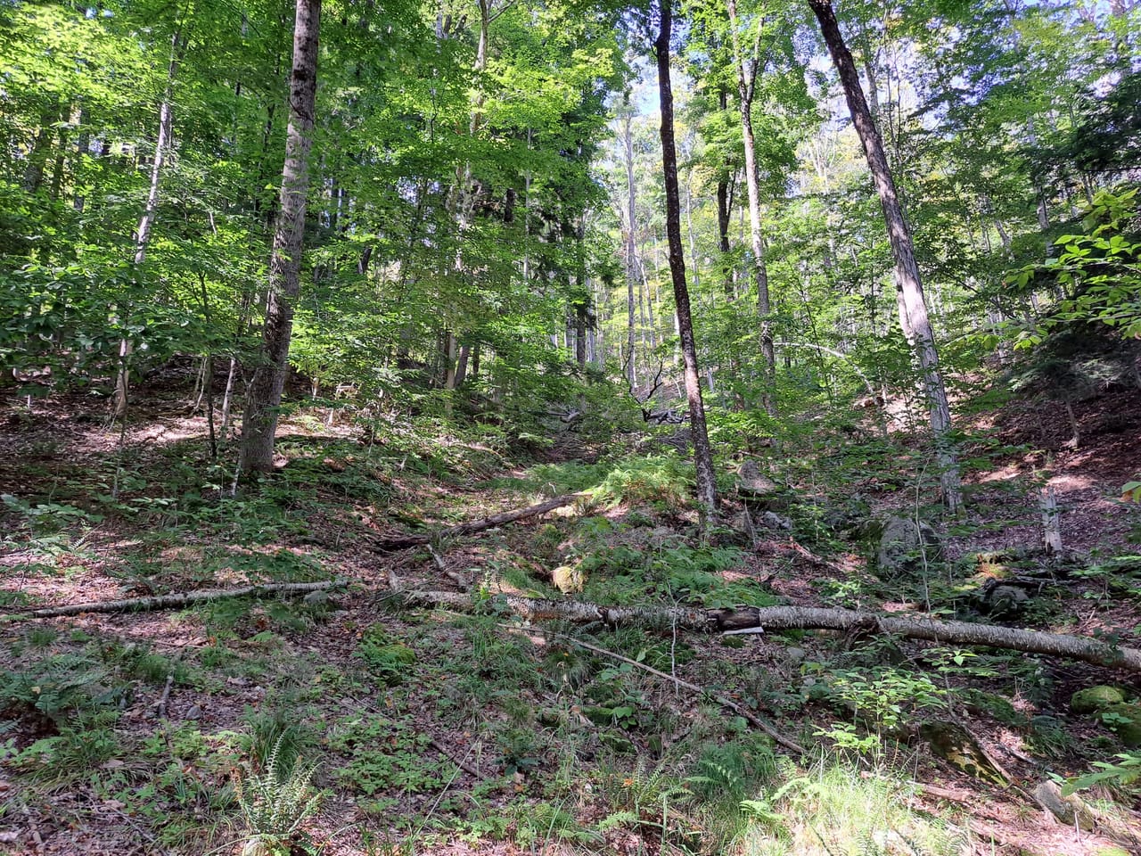 Listing Image 19