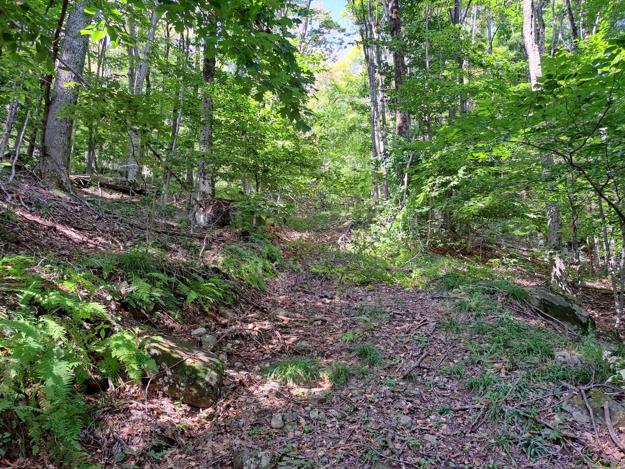 Listing Image 23