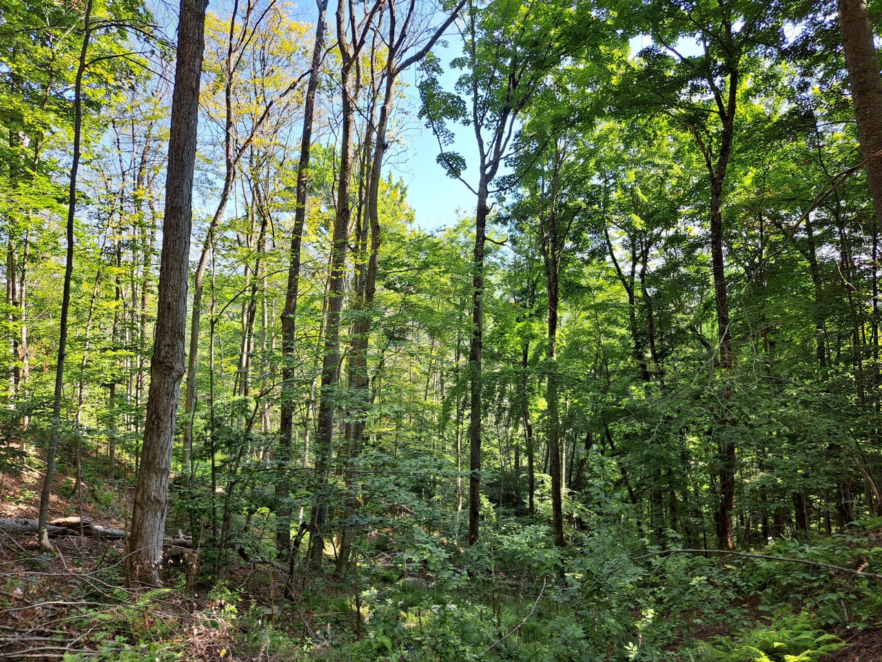 Listing Image 24