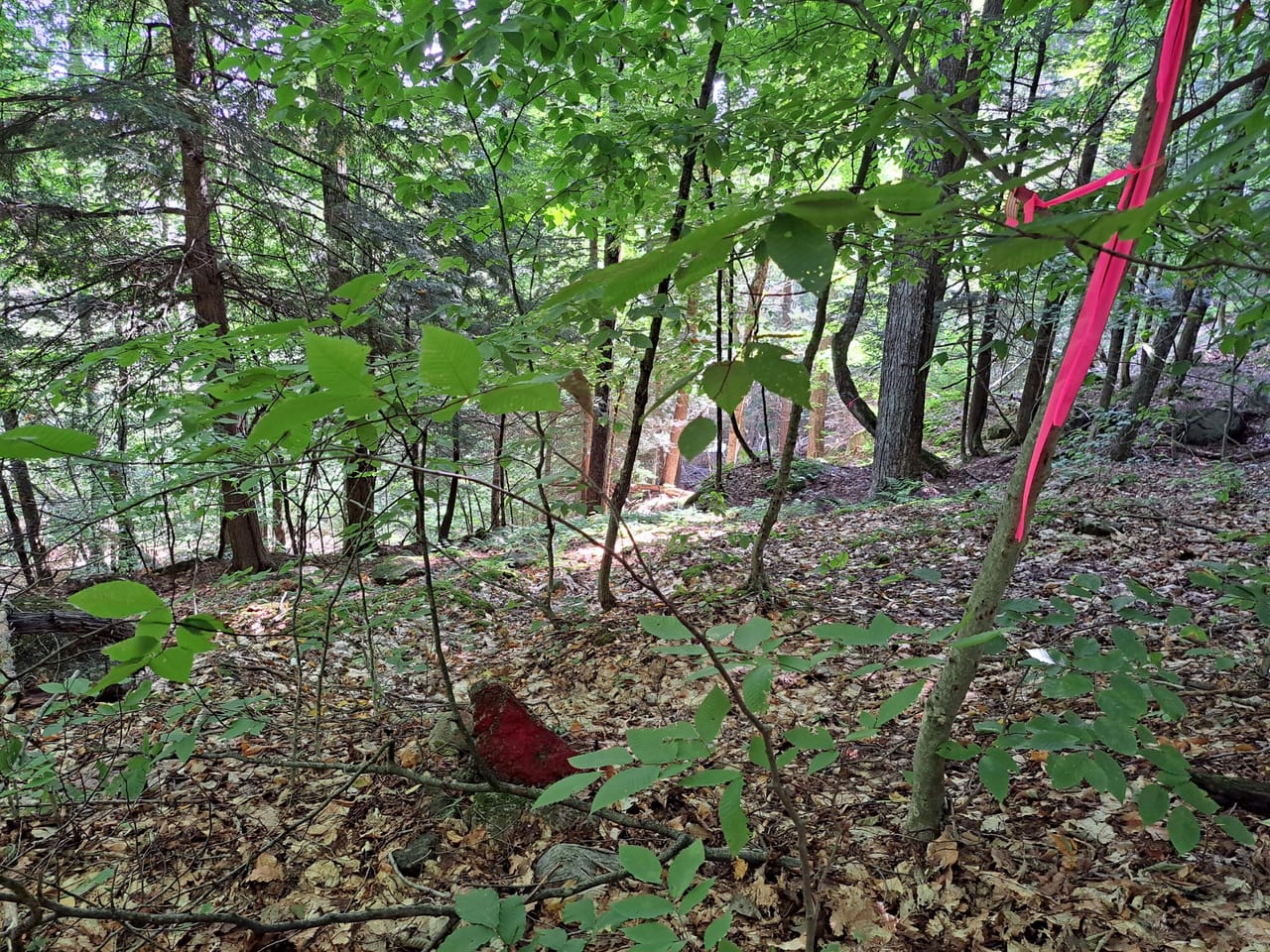 Listing Image 26