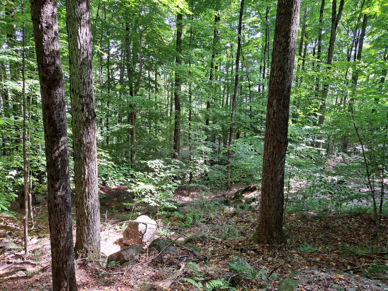 Listing Image 37