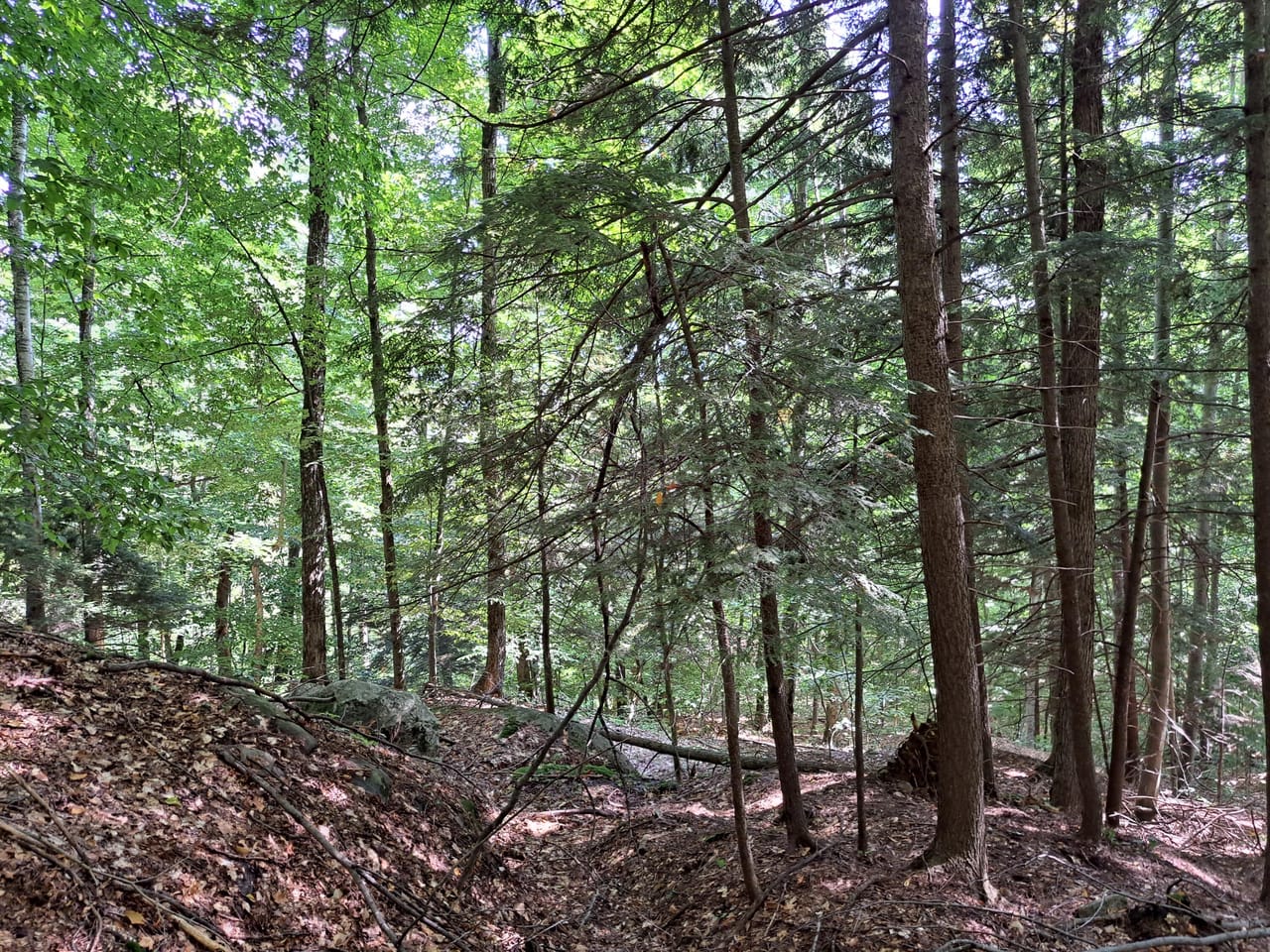 Listing Image 52