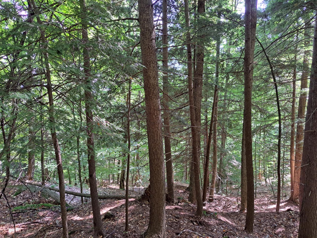 Listing Image 53