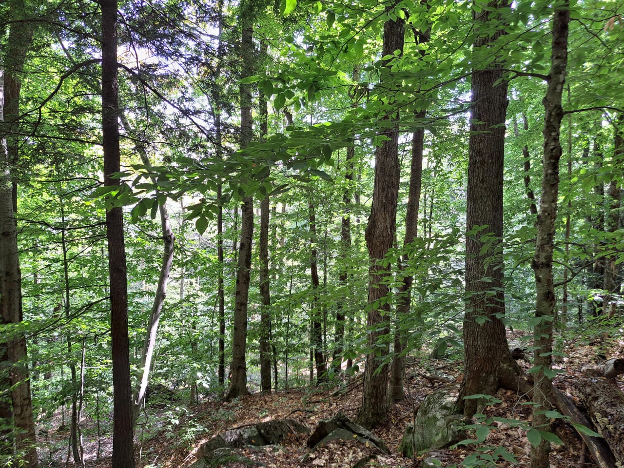 Listing Image 54