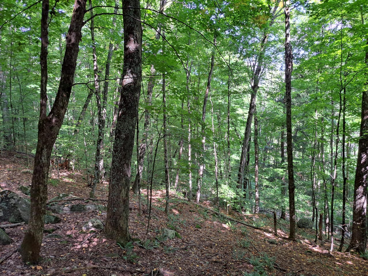 Listing Image 55
