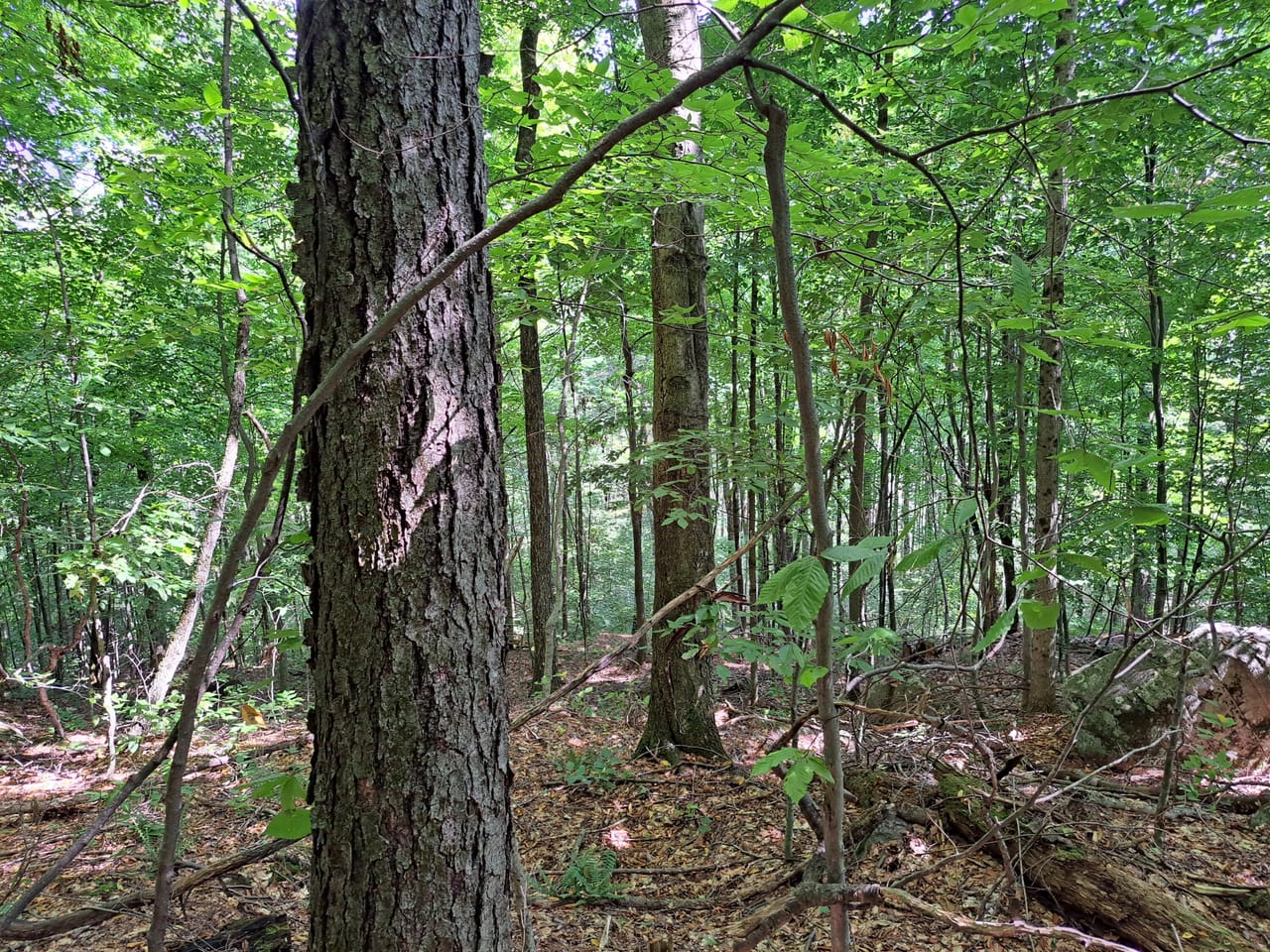 Listing Image 56