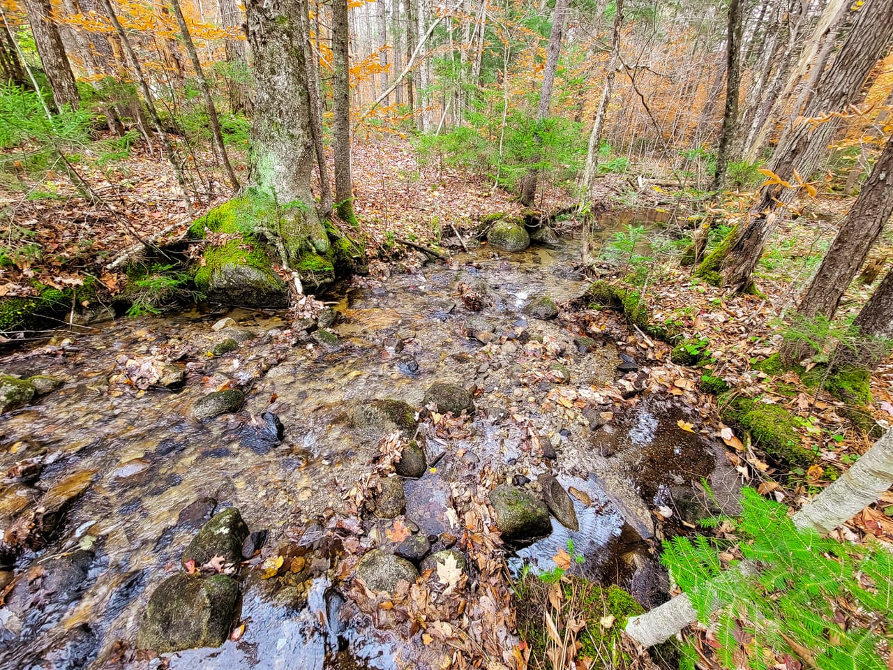 Listing Image 16