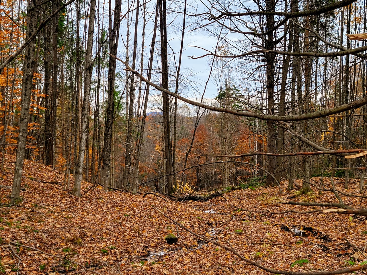Listing Image 35