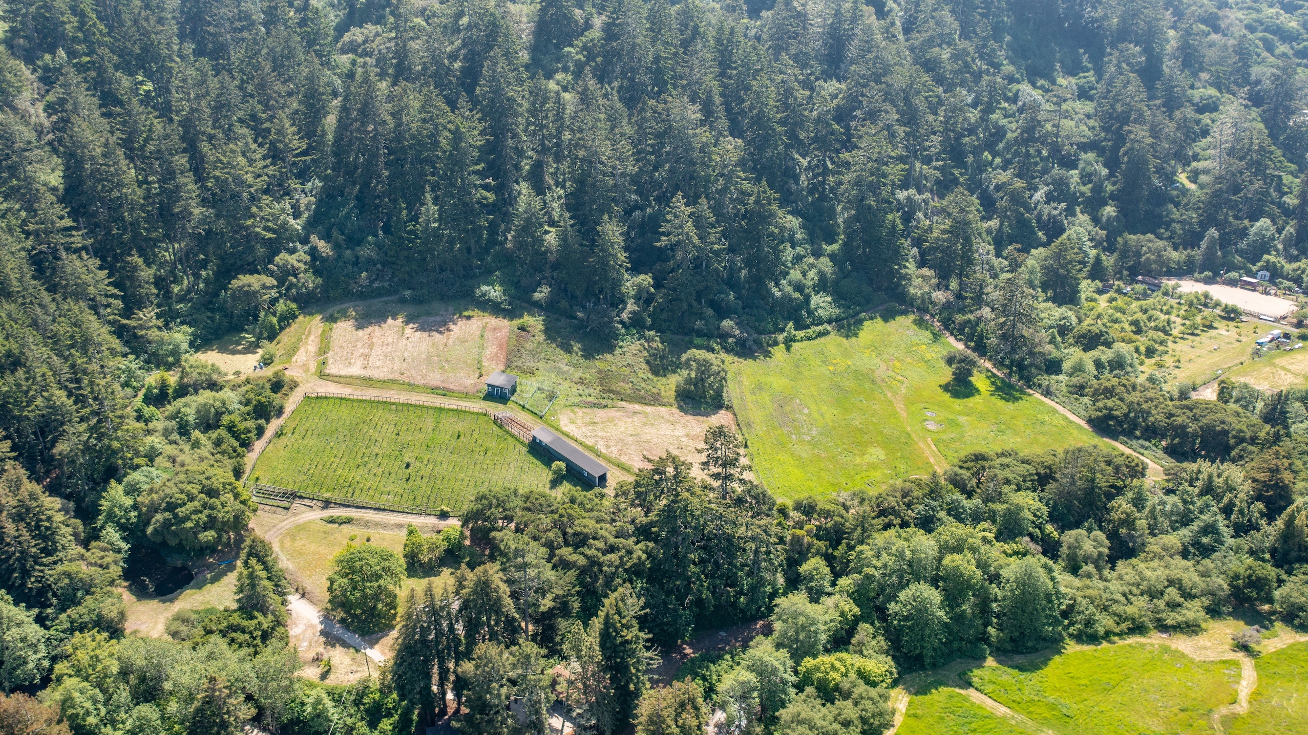 San Gregorio Creekside Farm
