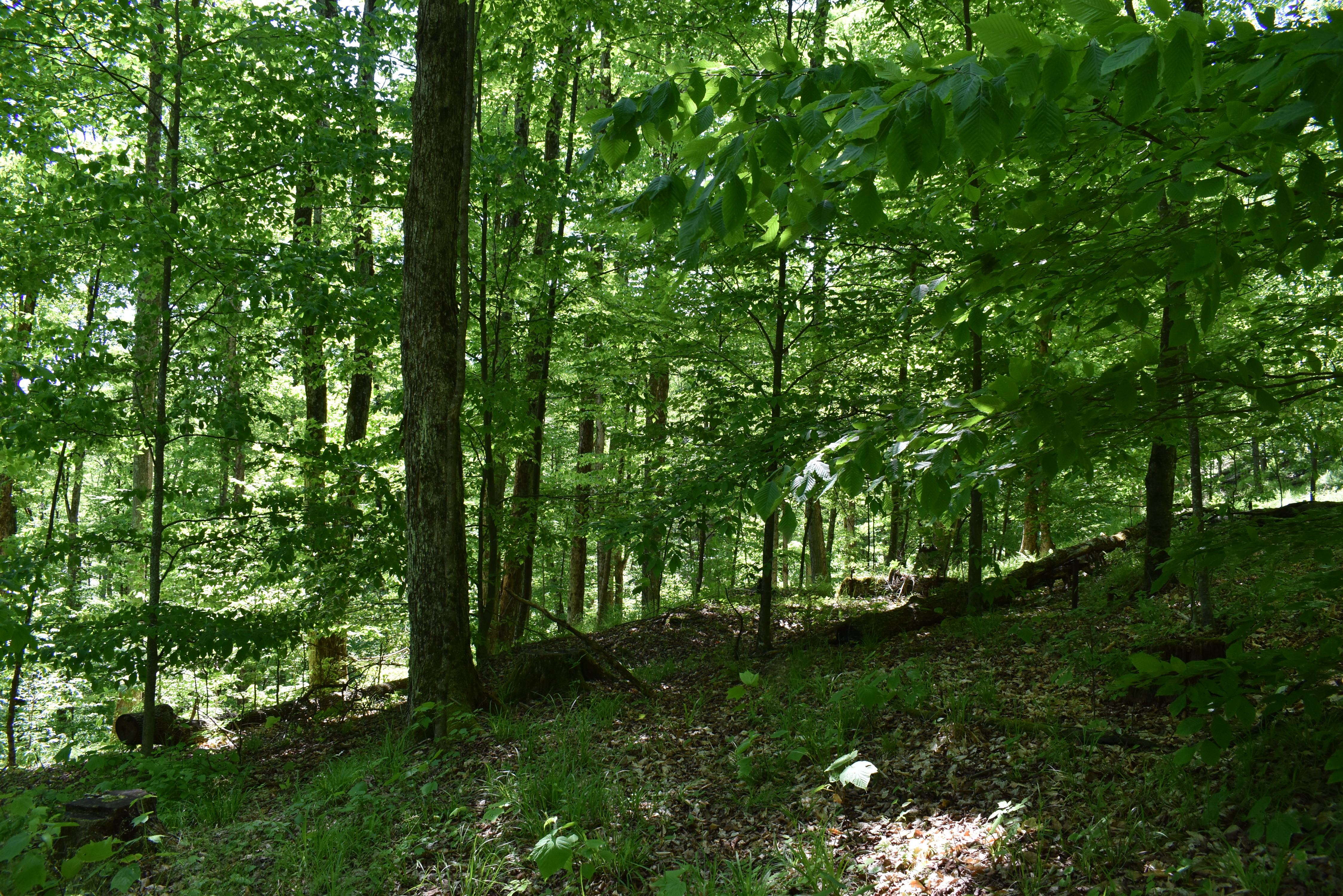 Listing Image 28