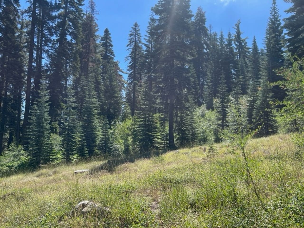 Listing Image 26