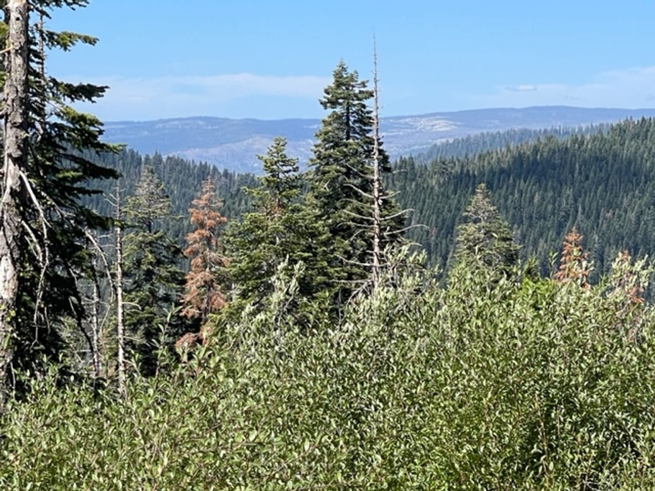 Listing Image 33