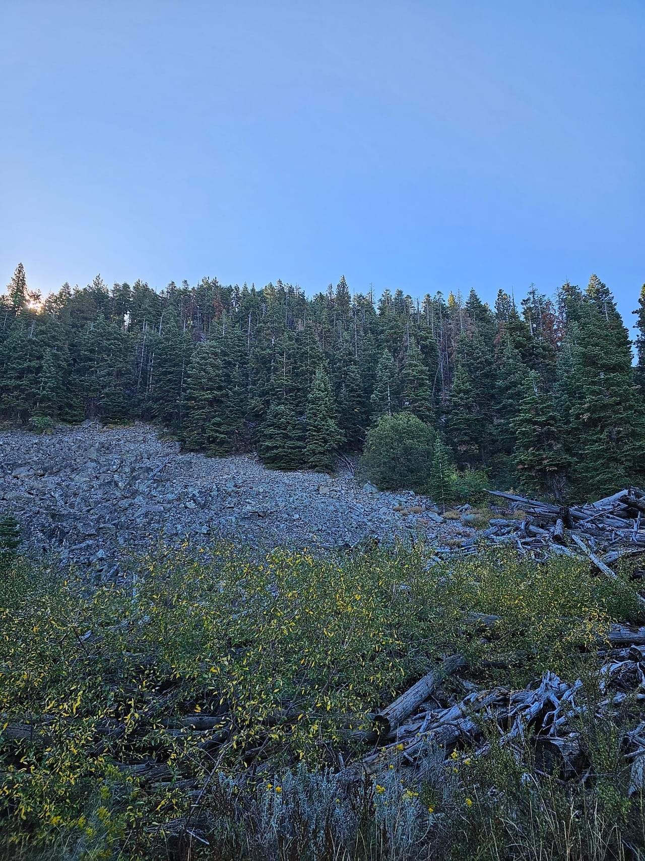 Listing Image 3