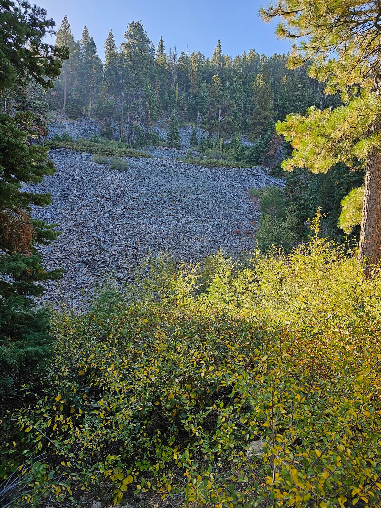 Listing Image 4