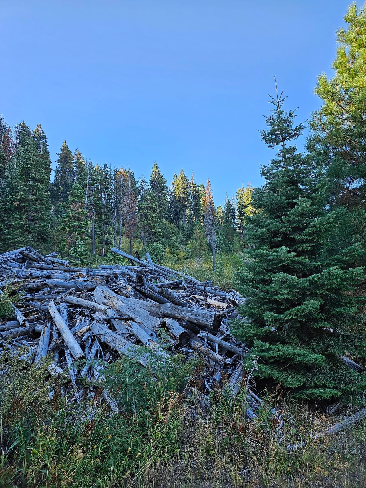 Listing Image 5