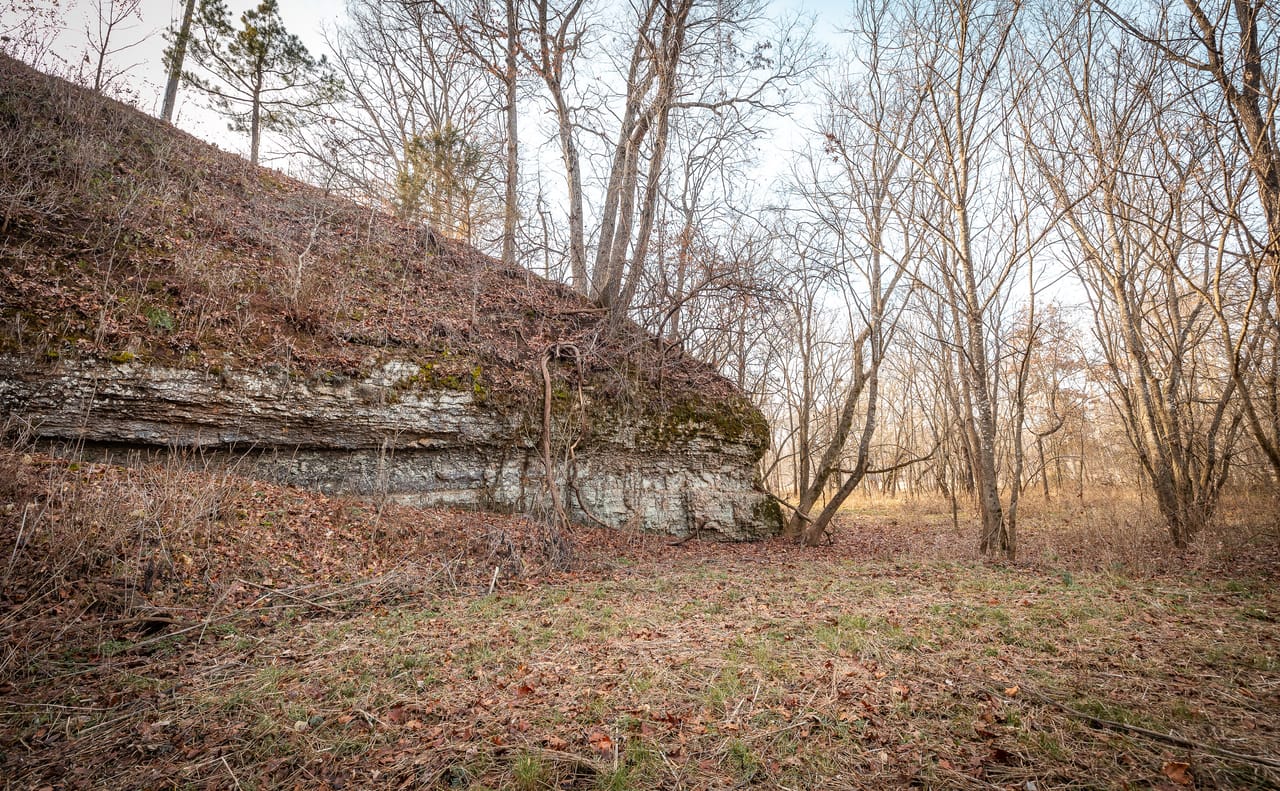 Listing Image 6