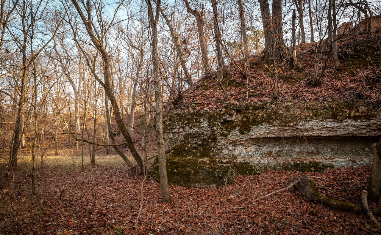 Listing Image 18