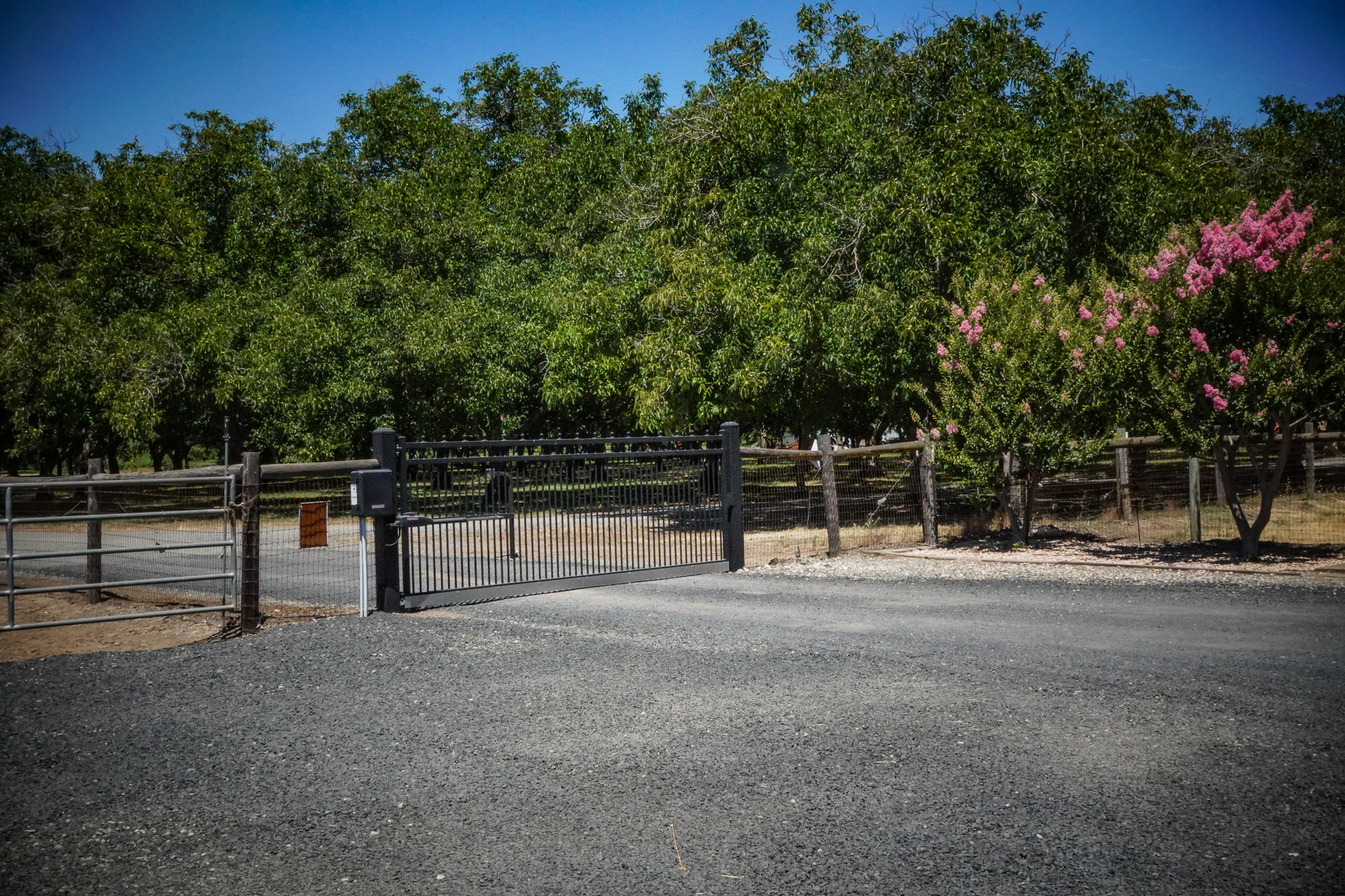 Woodard Ranch