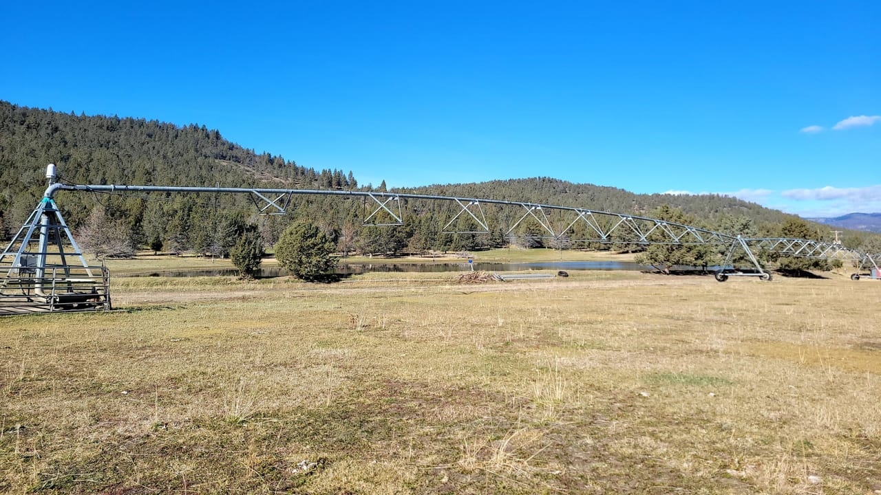 Listing Image 16