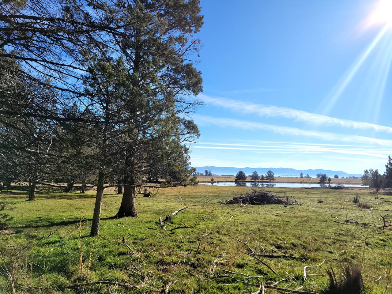 Listing Image 25