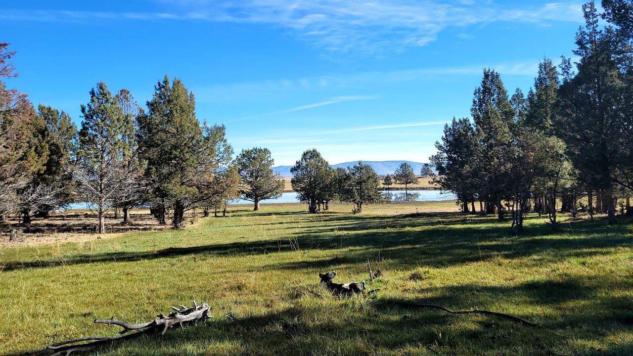 Listing Image 14