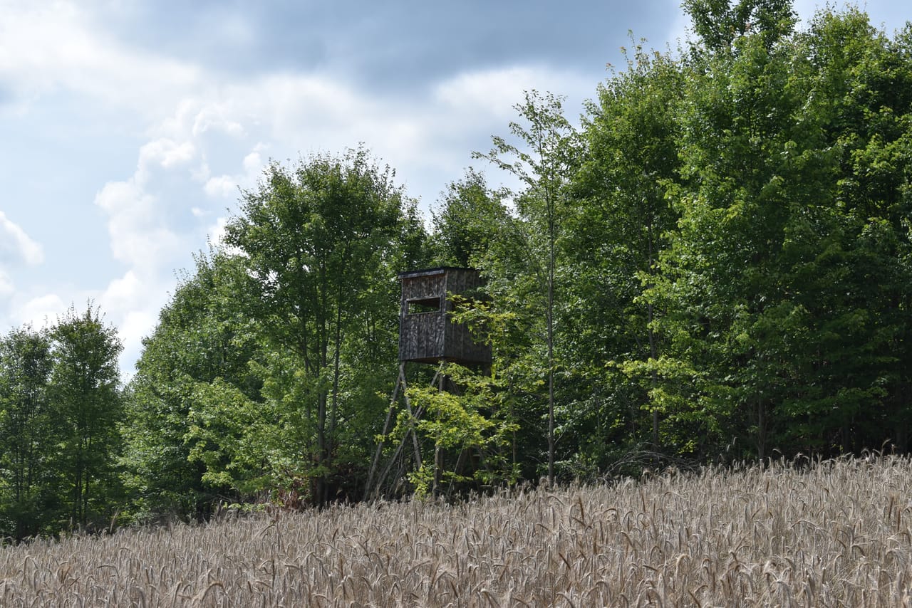 Listing Image 73