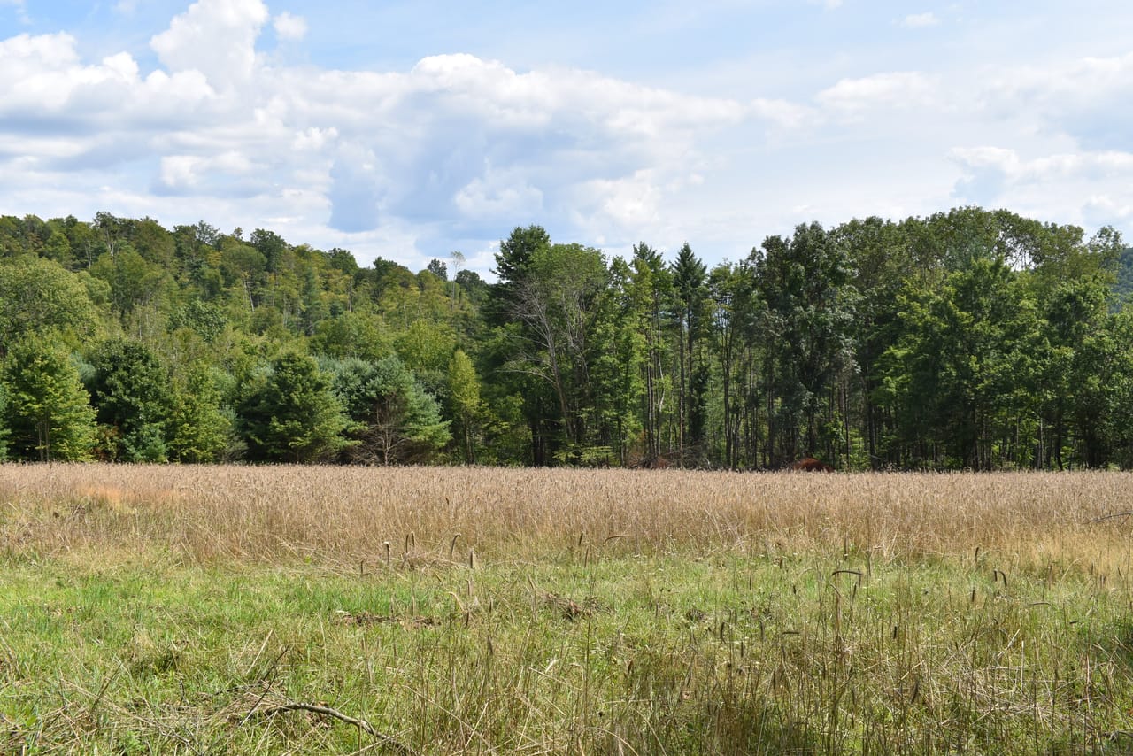 Listing Image 77