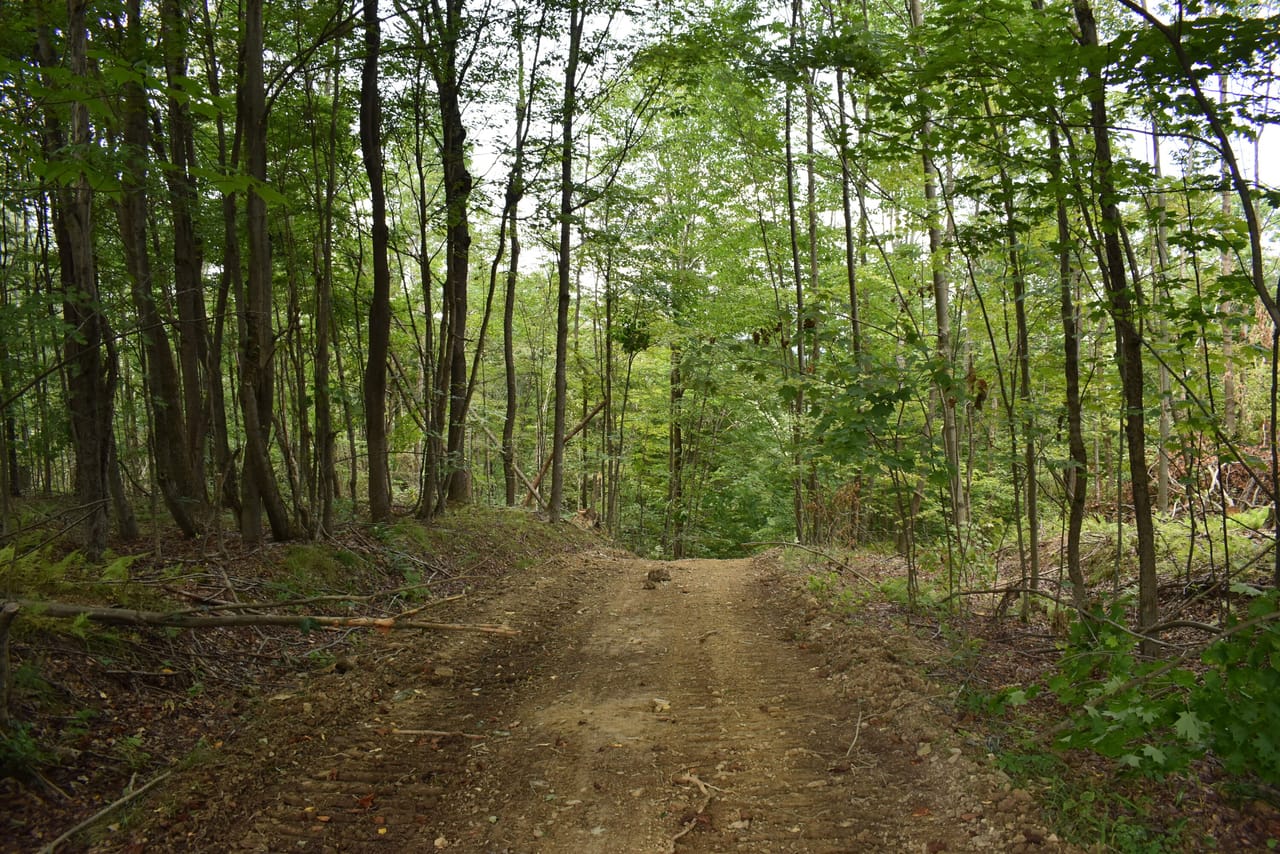Listing Image 14