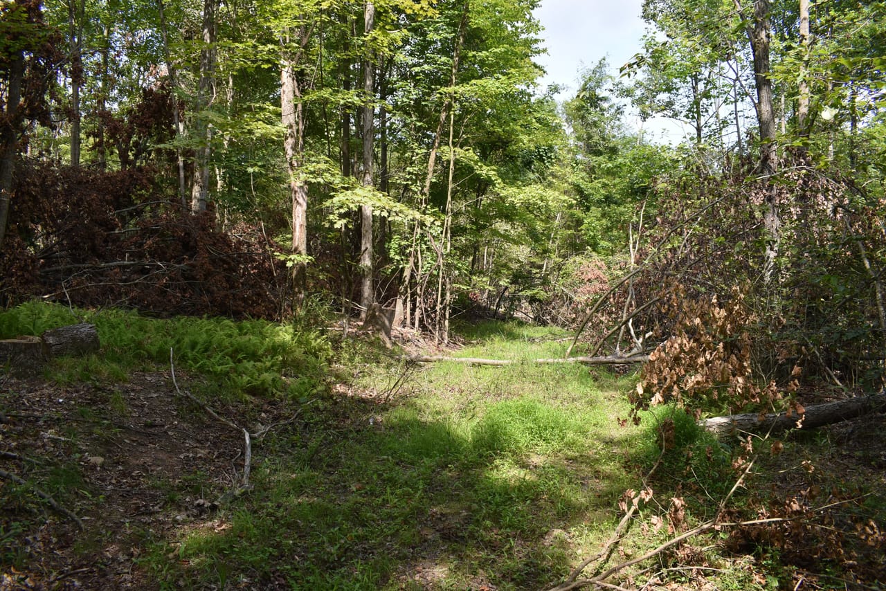 Listing Image 17