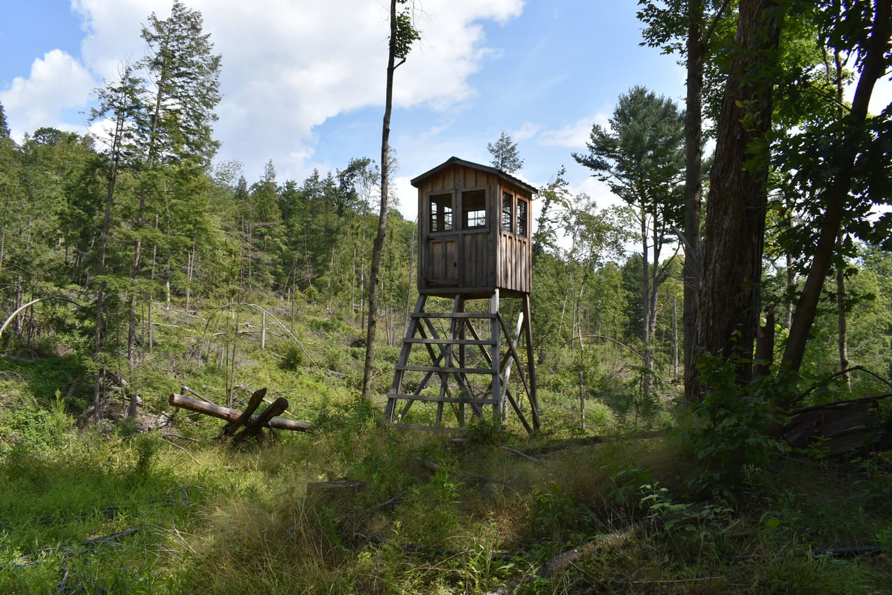 Listing Image 21