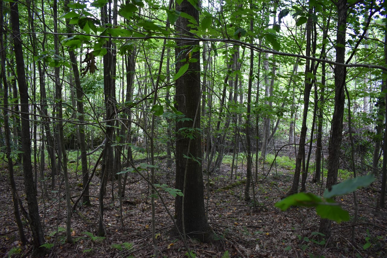 Listing Image 22
