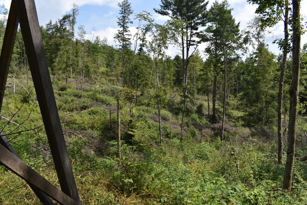 Listing Image 78