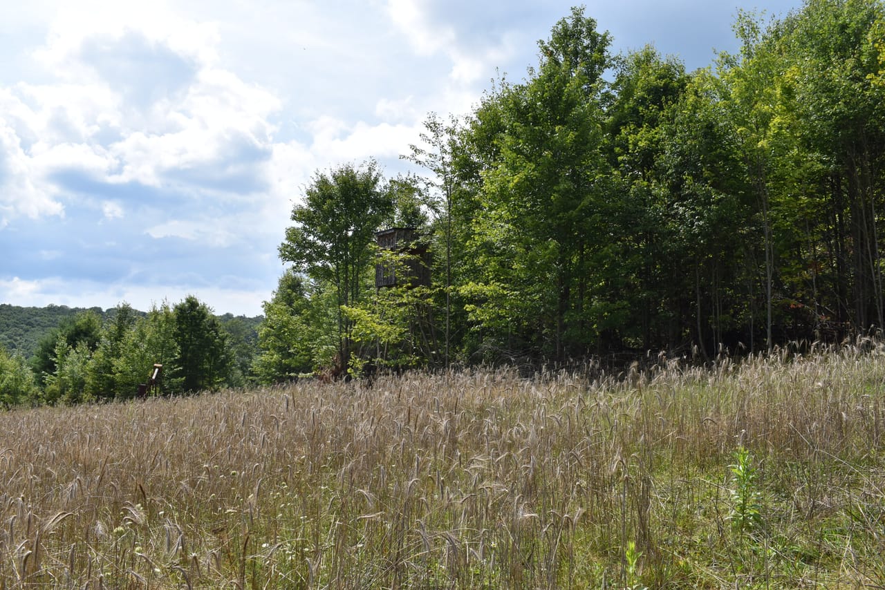 Listing Image 29