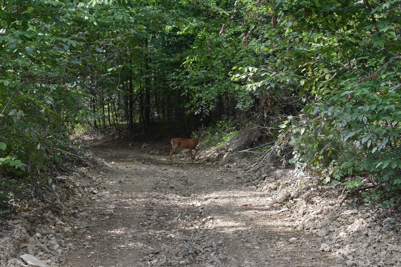 Listing Image 32
