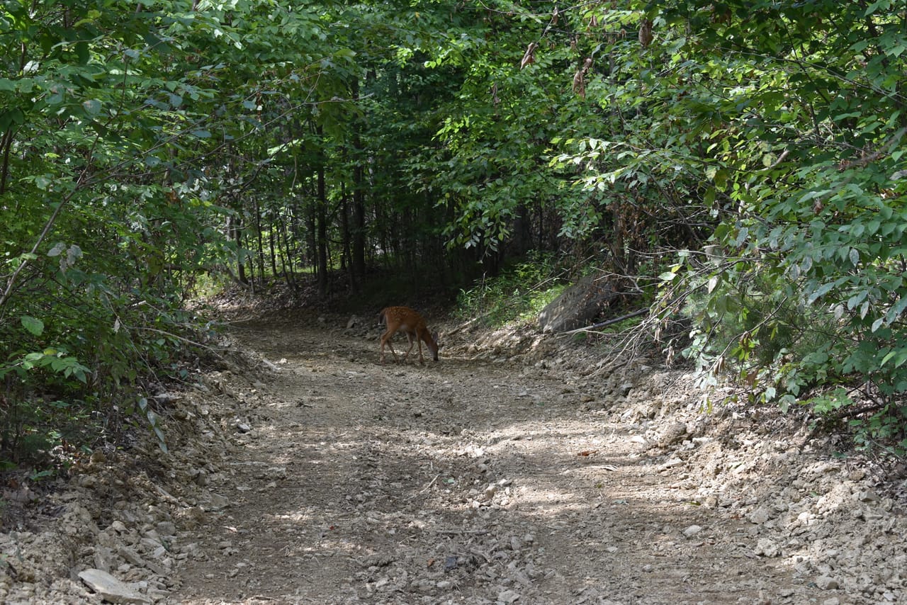 Listing Image 33