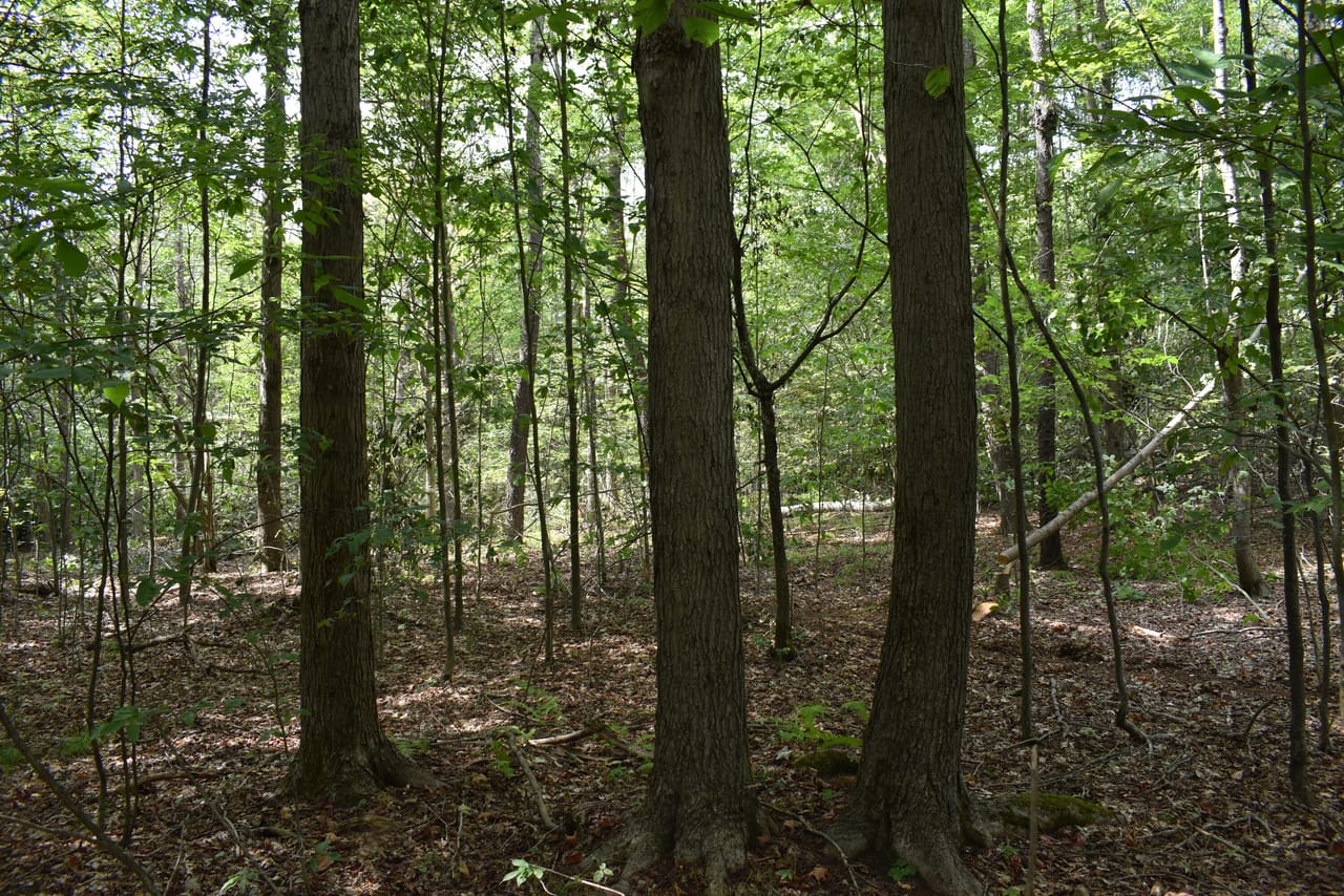 Listing Image 36