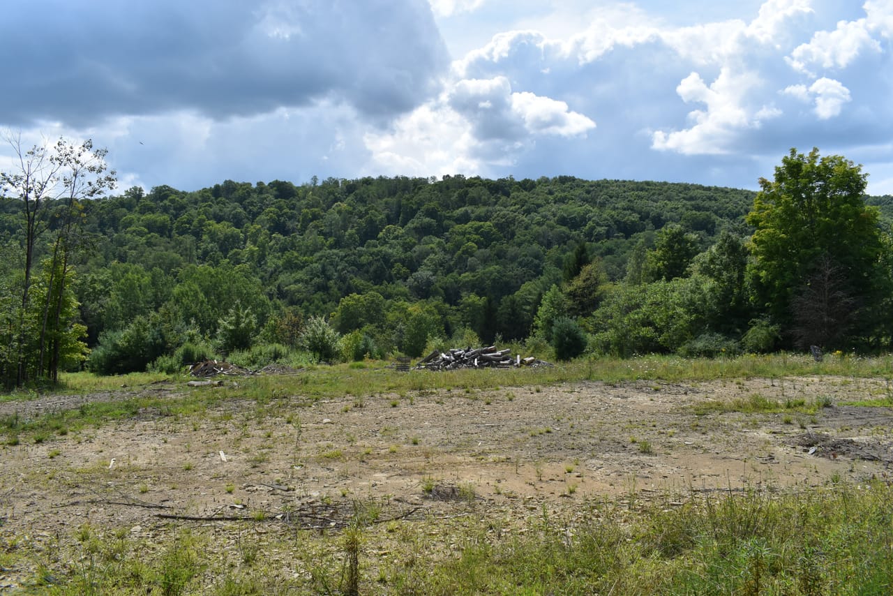 Listing Image 38