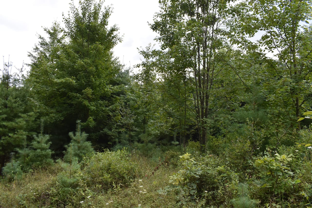 Listing Image 43