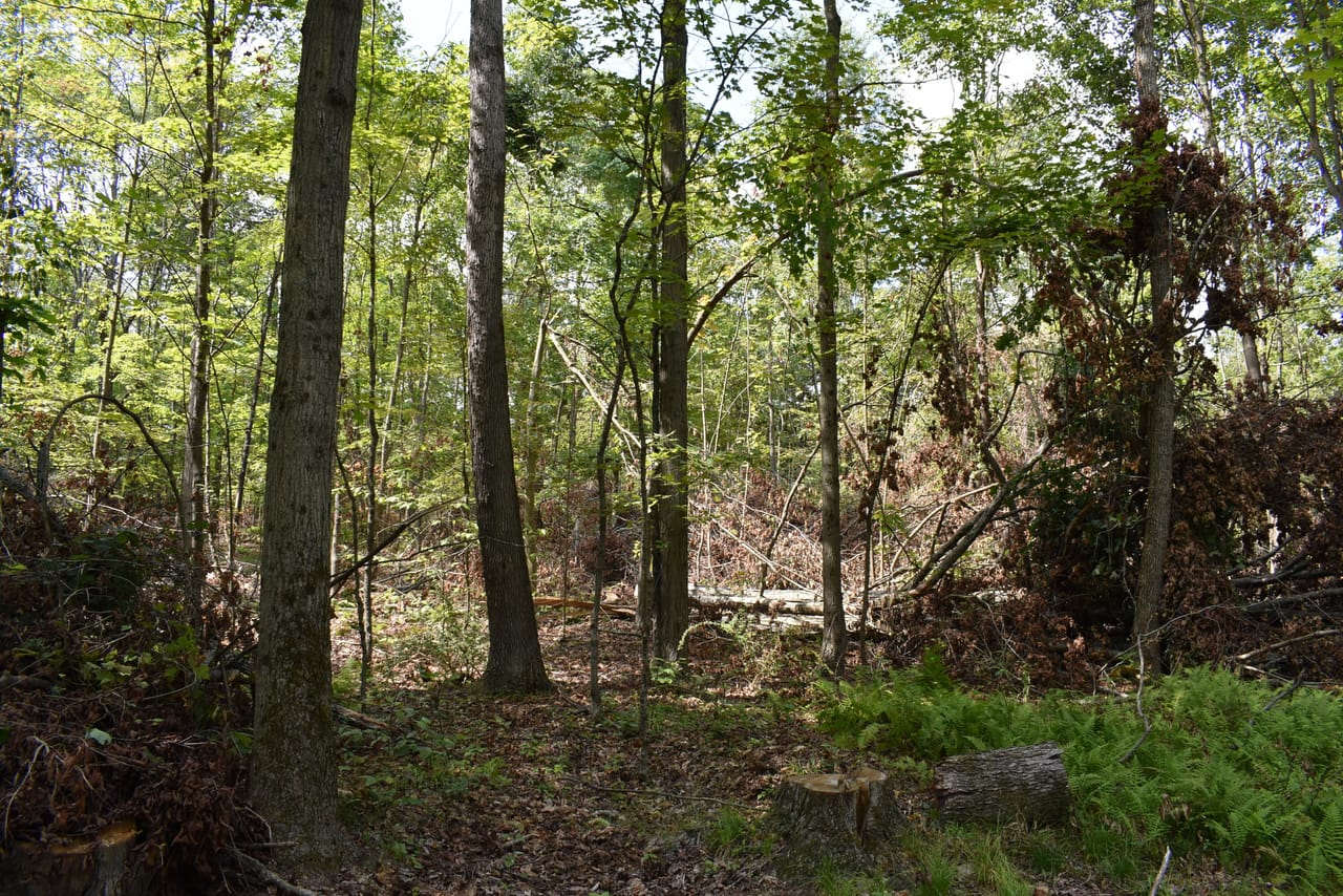 Listing Image 55