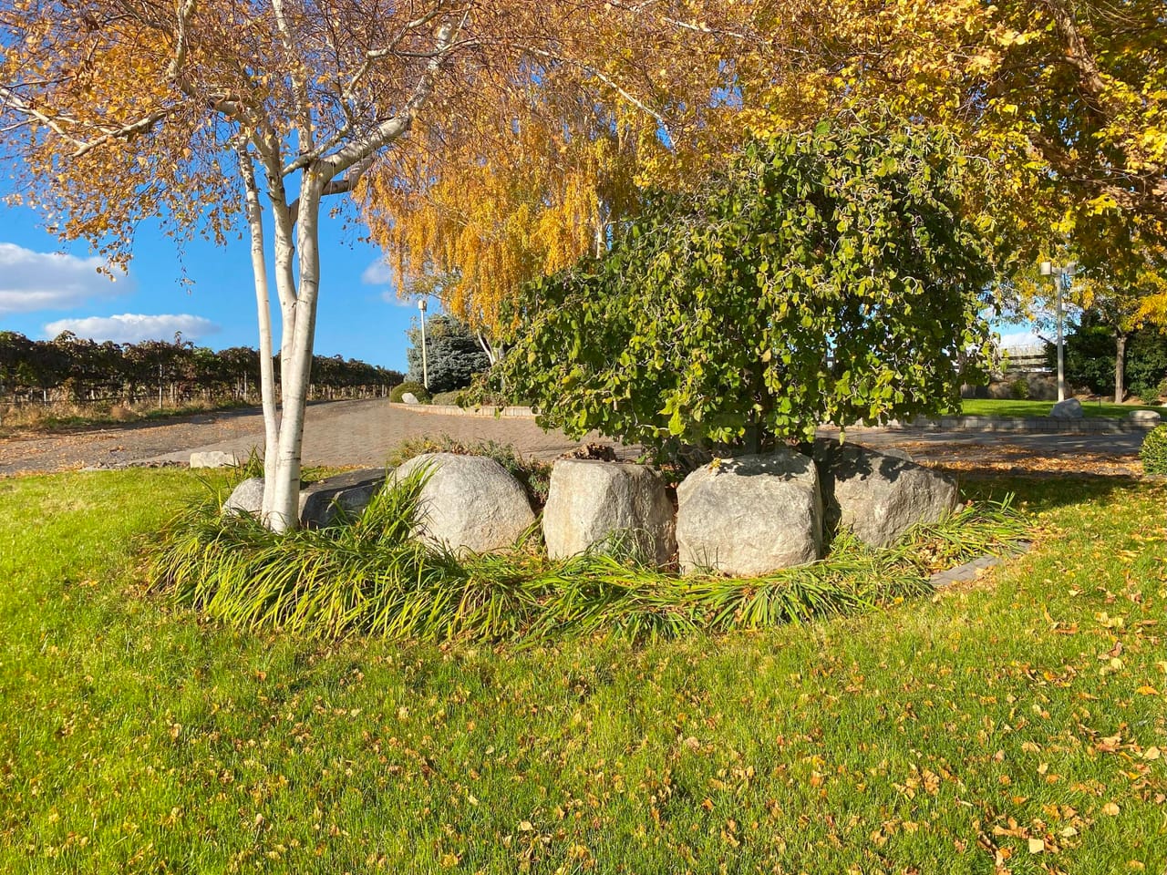 Listing Image 67