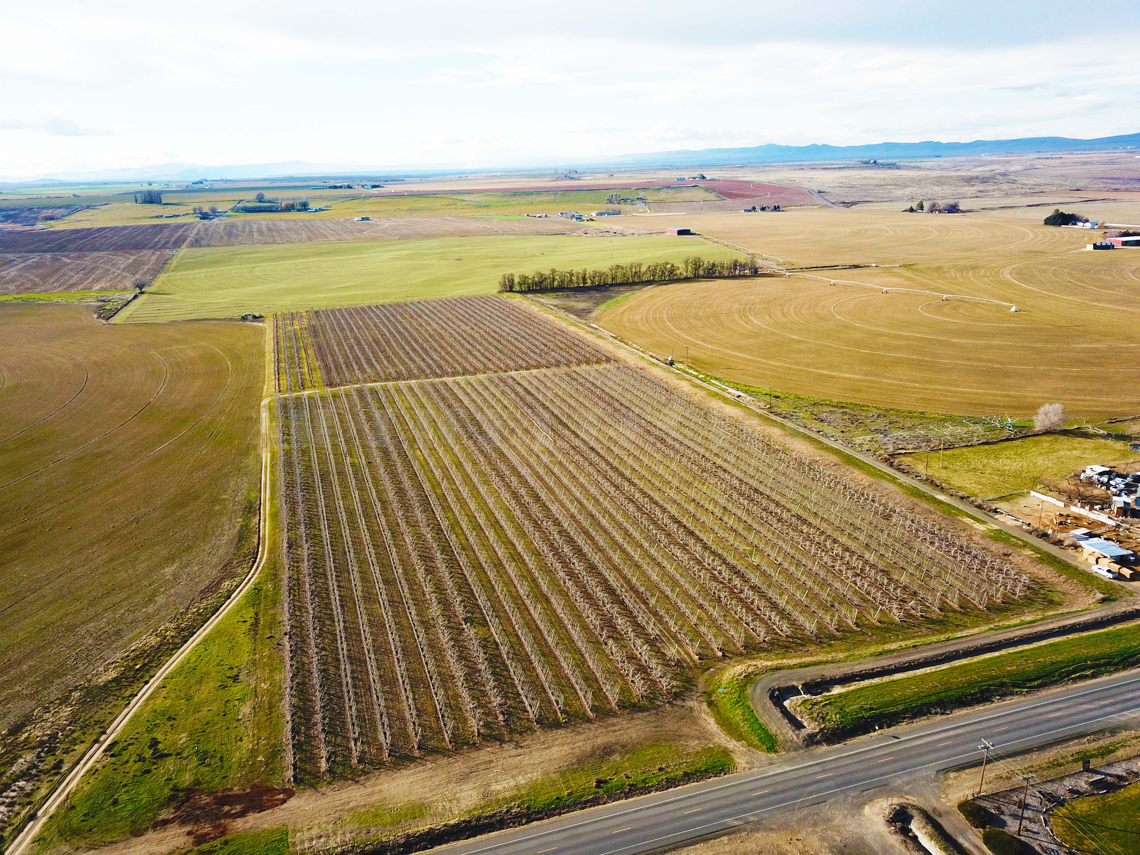 Fern Road Irrigated farm