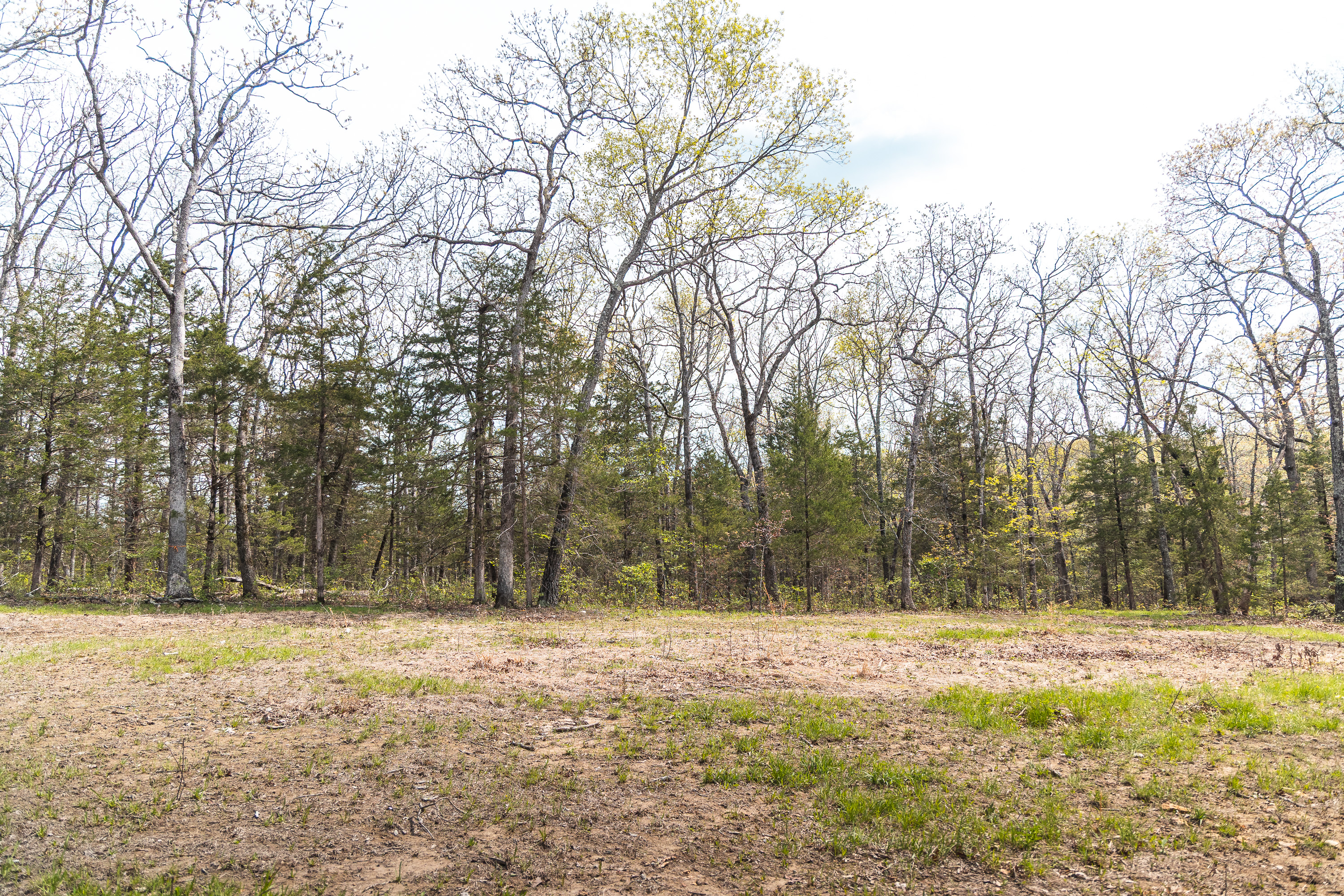 Owensville Buck Nest