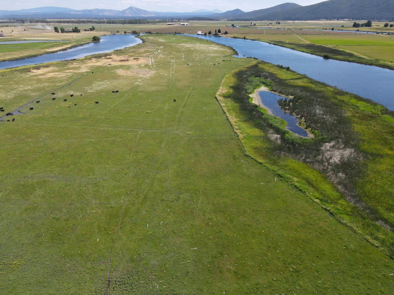 Listing Image 60