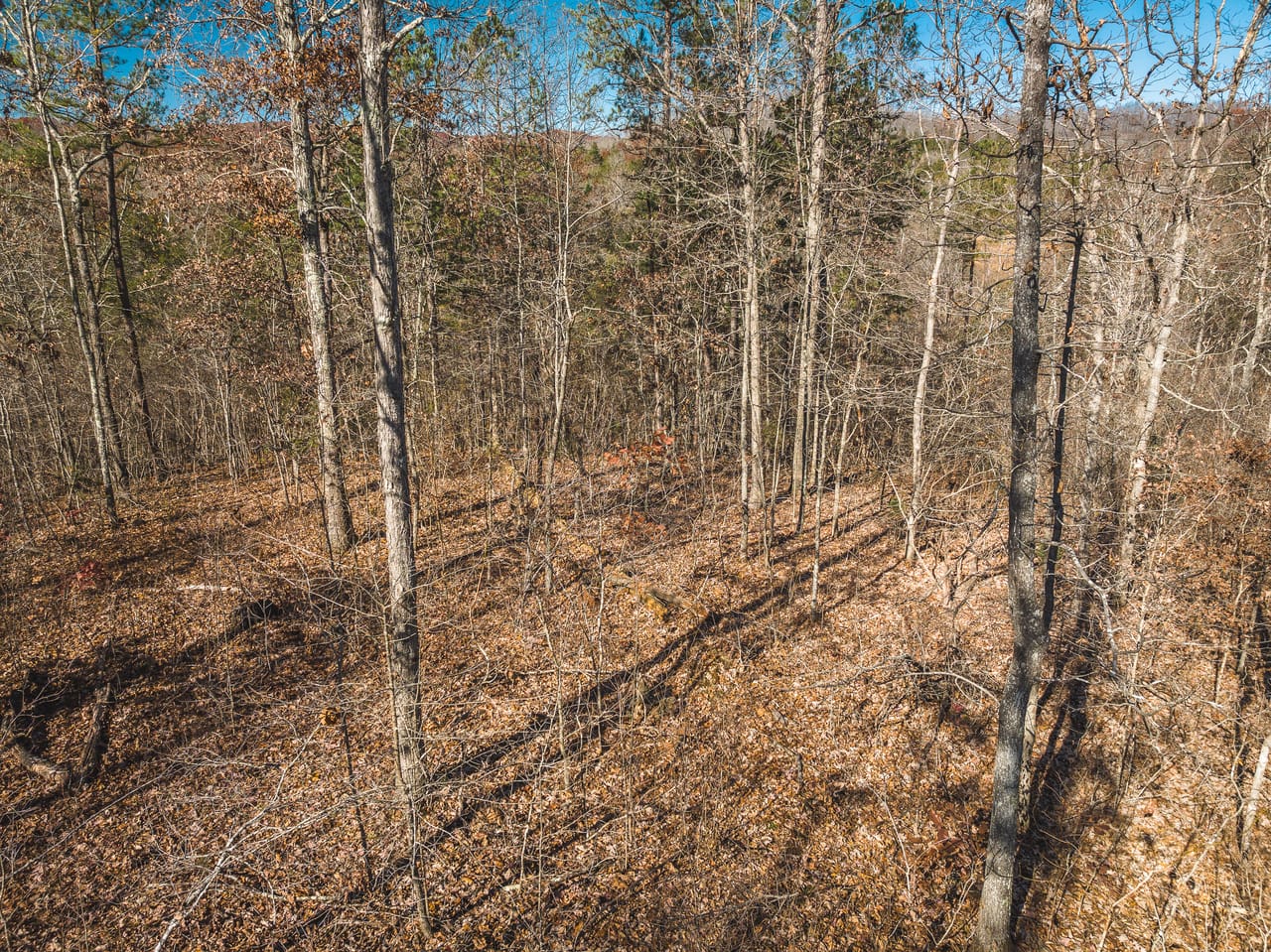 Listing Image 9