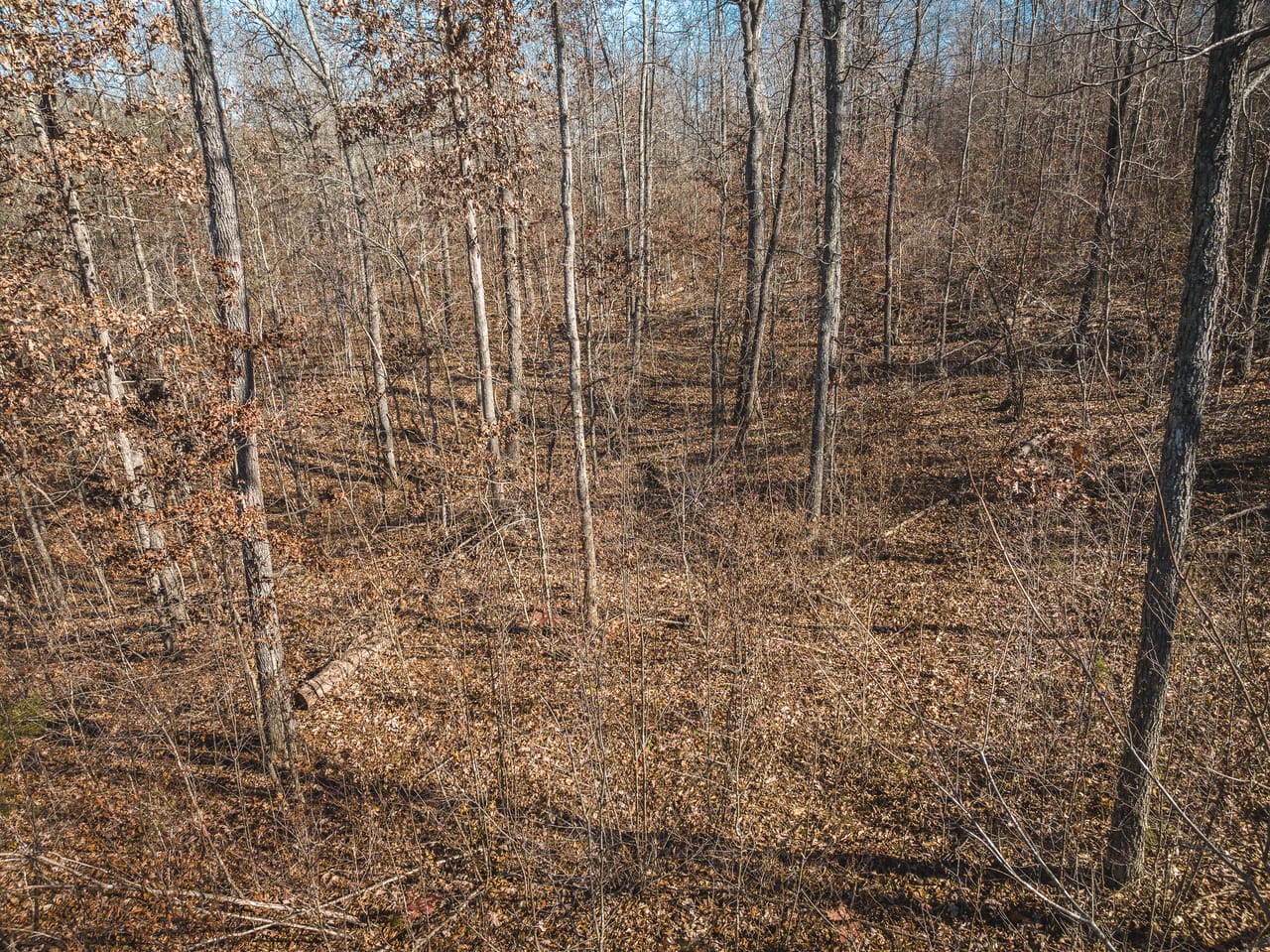 Listing Image 28