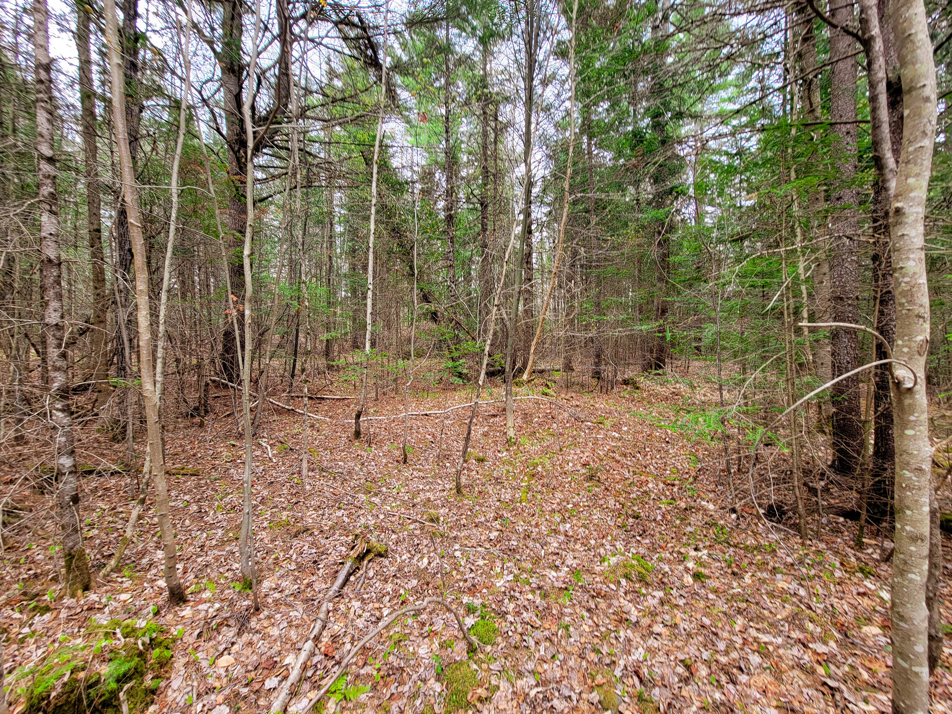 Listing Image 37