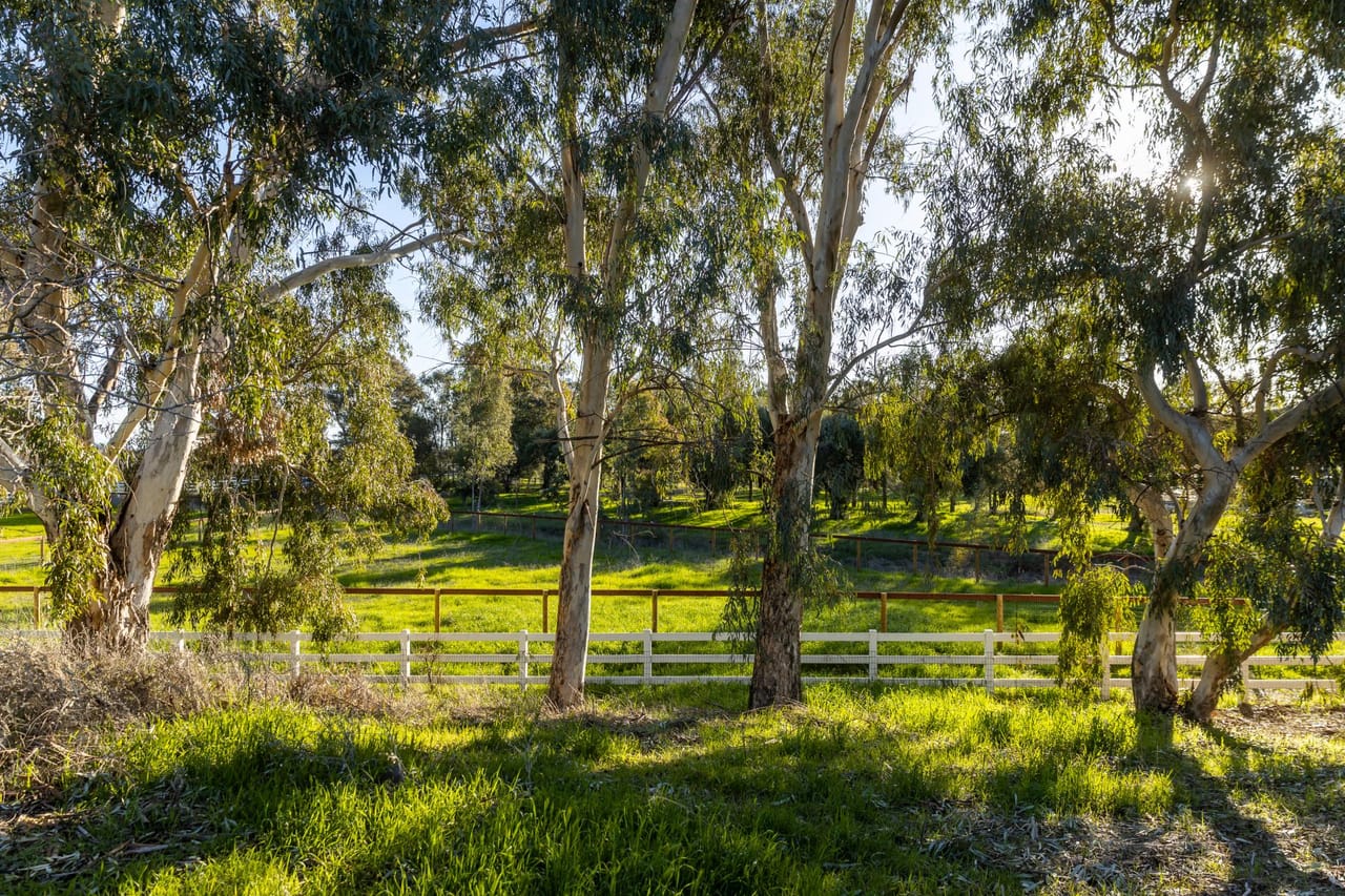 Listing Image 54