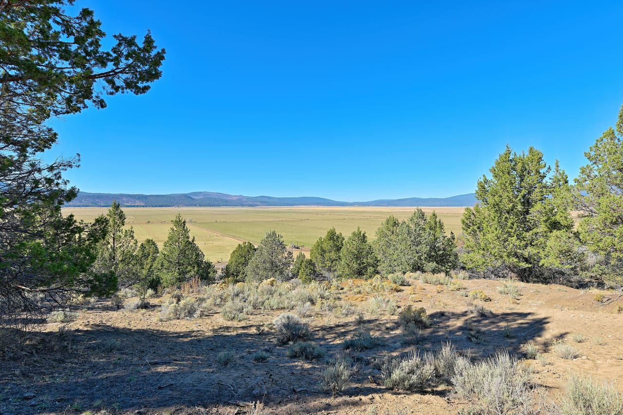 Listing Image 54